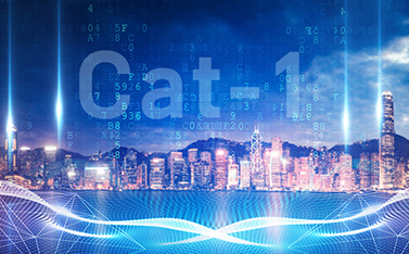 工信部重磅發(fā)文，Cat-1/NB-IoT再次站上新風(fēng)口